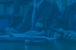 移民配额多
政策稳定 