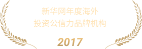 新华网年度海外投资公信力品牌机构
